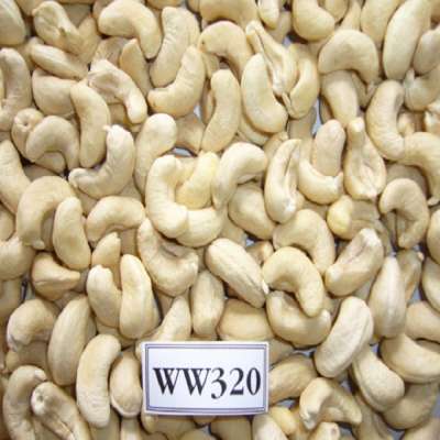 Raw cashew nut in India