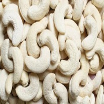 Fresh Healthy Raw cashew nut in shell