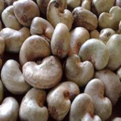 Healthy Raw cashew nut in shell