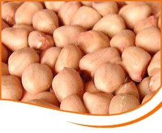 High Quality Peanuts / Groundnut/ peanut with Shell, Raw shelled peanuts