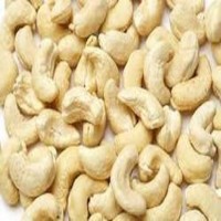 Raw cashew nut in shell Manufacturers